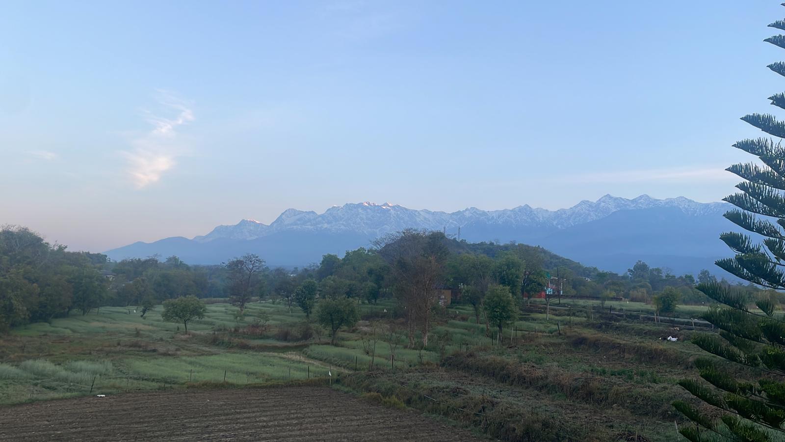 View of the snow-capped Dhauladhar mountain range from the retreat grounds