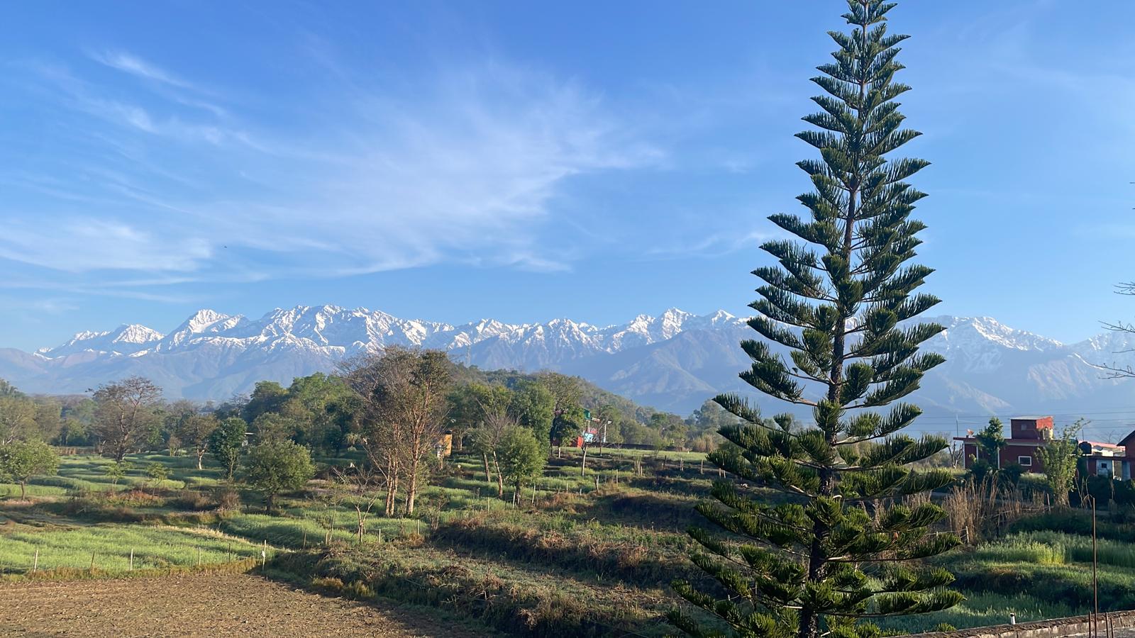 Snow-capped Himalayan peaks over the Kangra Valley, near the retreat